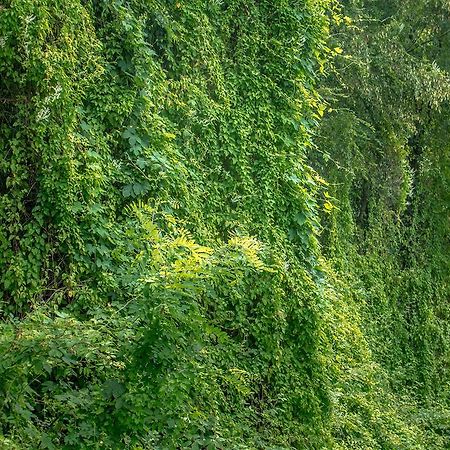 Turisticna Kmetija Stanfel Villa Podsabotin Bagian luar foto