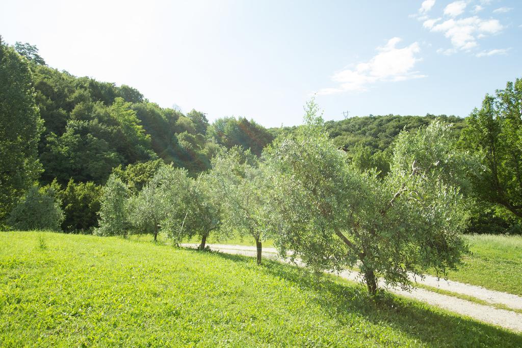 Turisticna Kmetija Stanfel Villa Podsabotin Bagian luar foto