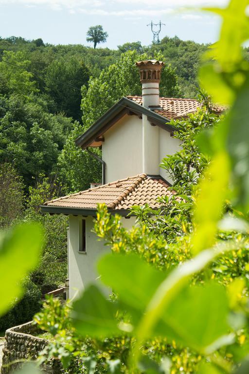 Turisticna Kmetija Stanfel Villa Podsabotin Bagian luar foto